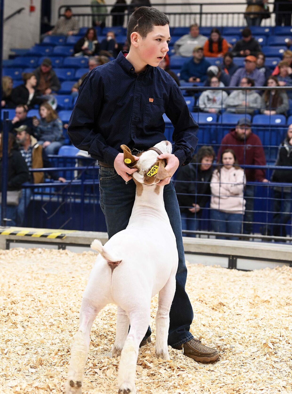PA Ranch Show Tuesday 17.JPG